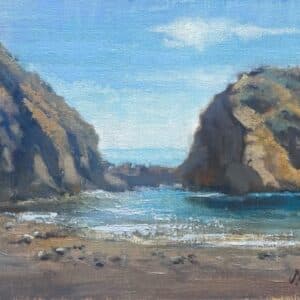 Catalina Cove